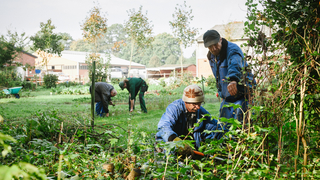 Mehrere Männer arbeiten in einem großen Garten