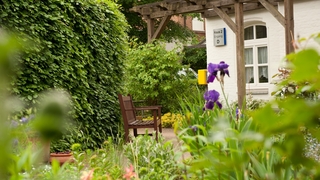 Ein Blick in den grünen Garten des Hauses