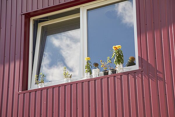 Blumen vor dem Fenster einer Unterkunft 